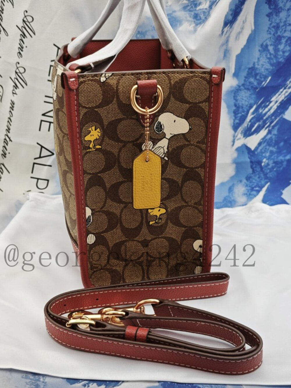 Coach Snoopy Tote Bag - Picture 2 of 16